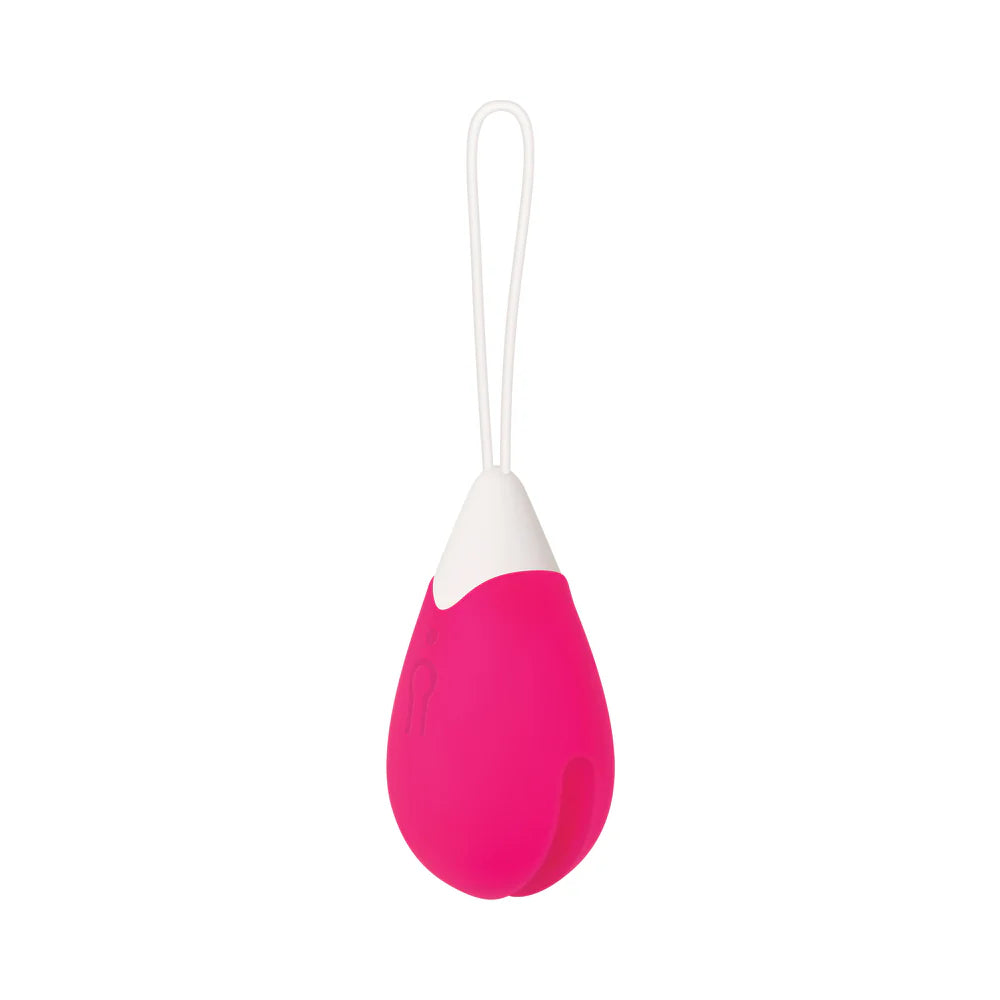 Evolved Rechargeable Remote-Controlled Silicone Egg Vibrator