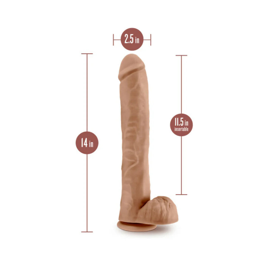 Blush Au Naturel Daddy 14 in. Posable Dual Density Dildo with Balls & Suction Cup