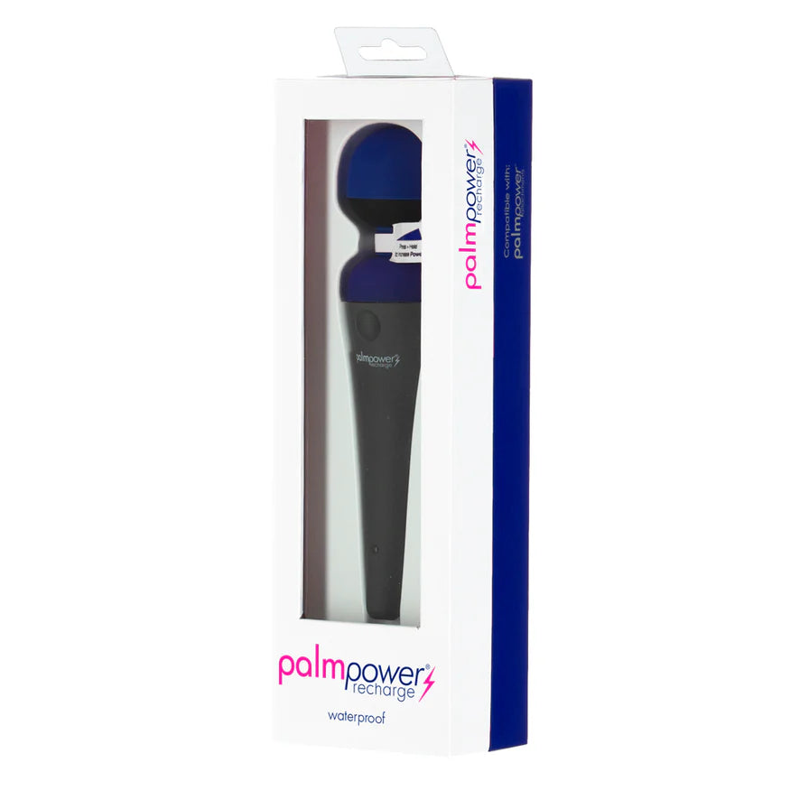 PalmPower Recharge Massager