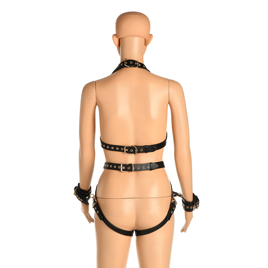 Master Series Harness with Restraints - Black/Gold