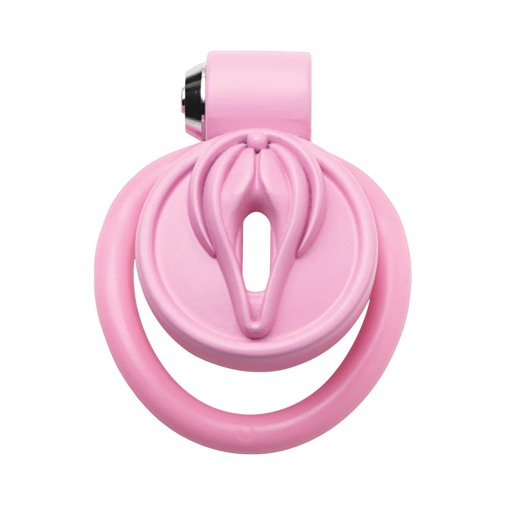 Master Series Pussification Vulva Chastity Cage