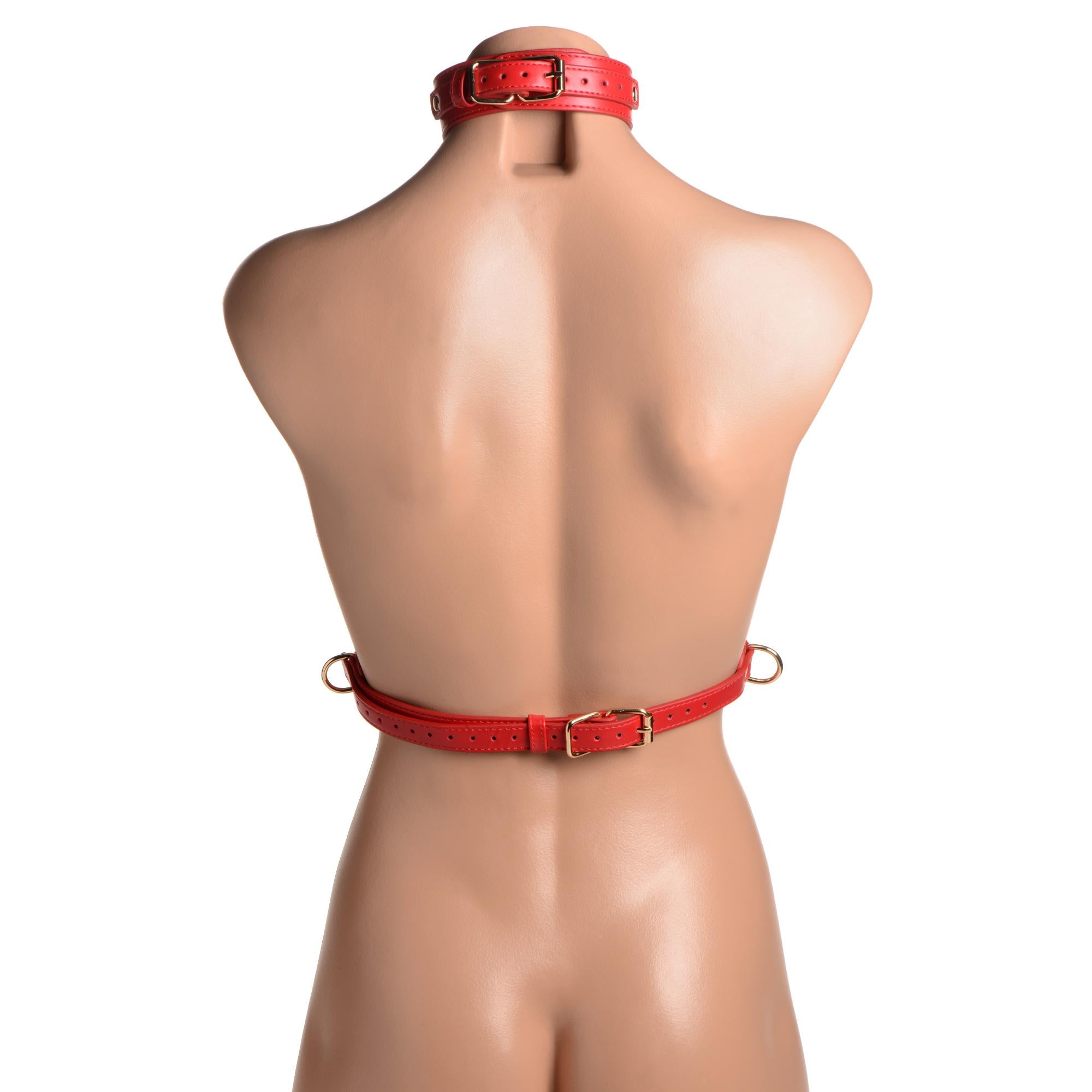 STRICT Red Female Chest Harness