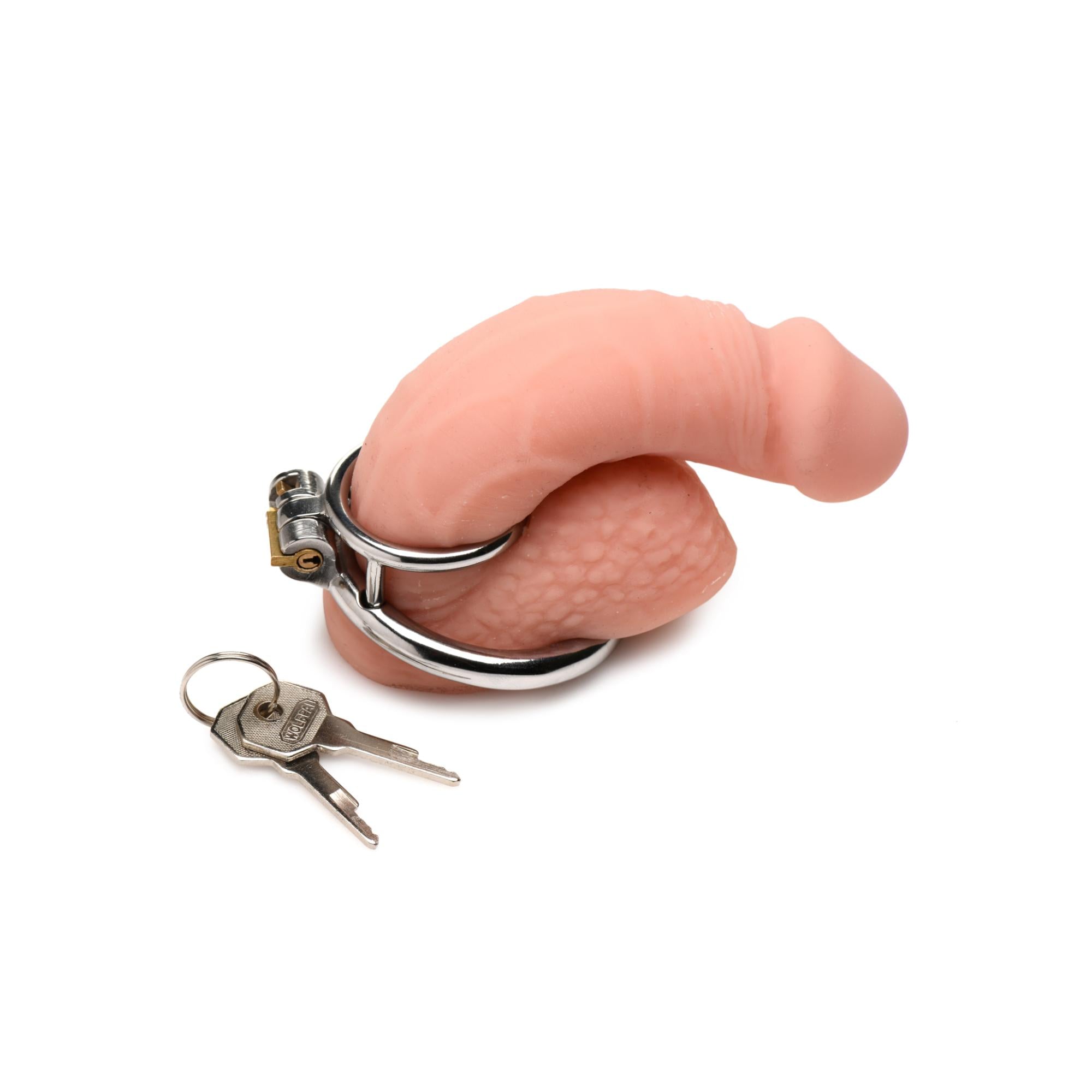 Master Series Locked Cock Stainless Steel Locking Cock & Ball Ring