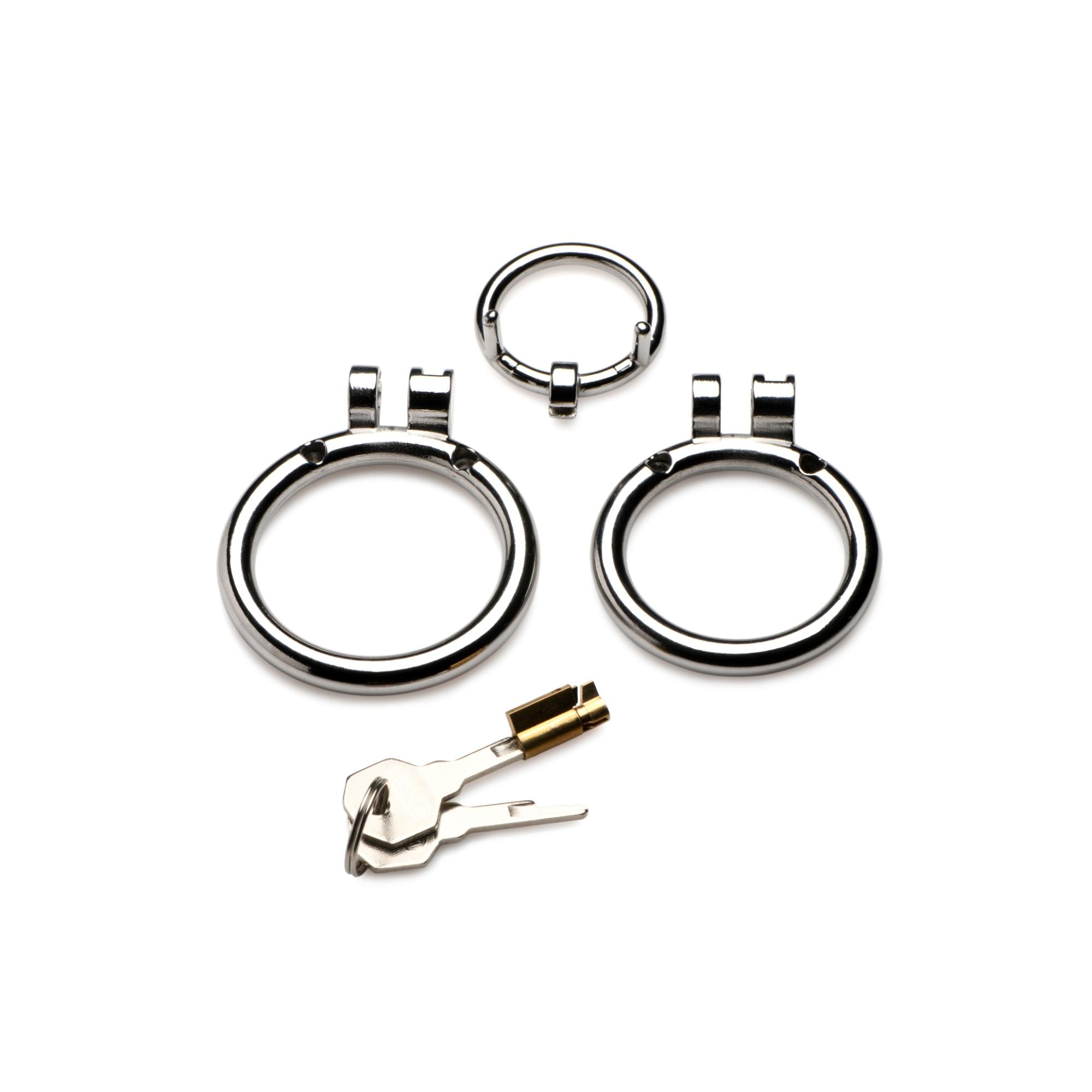 Master Series Locked Cock Stainless Steel Locking Cock & Ball Ring