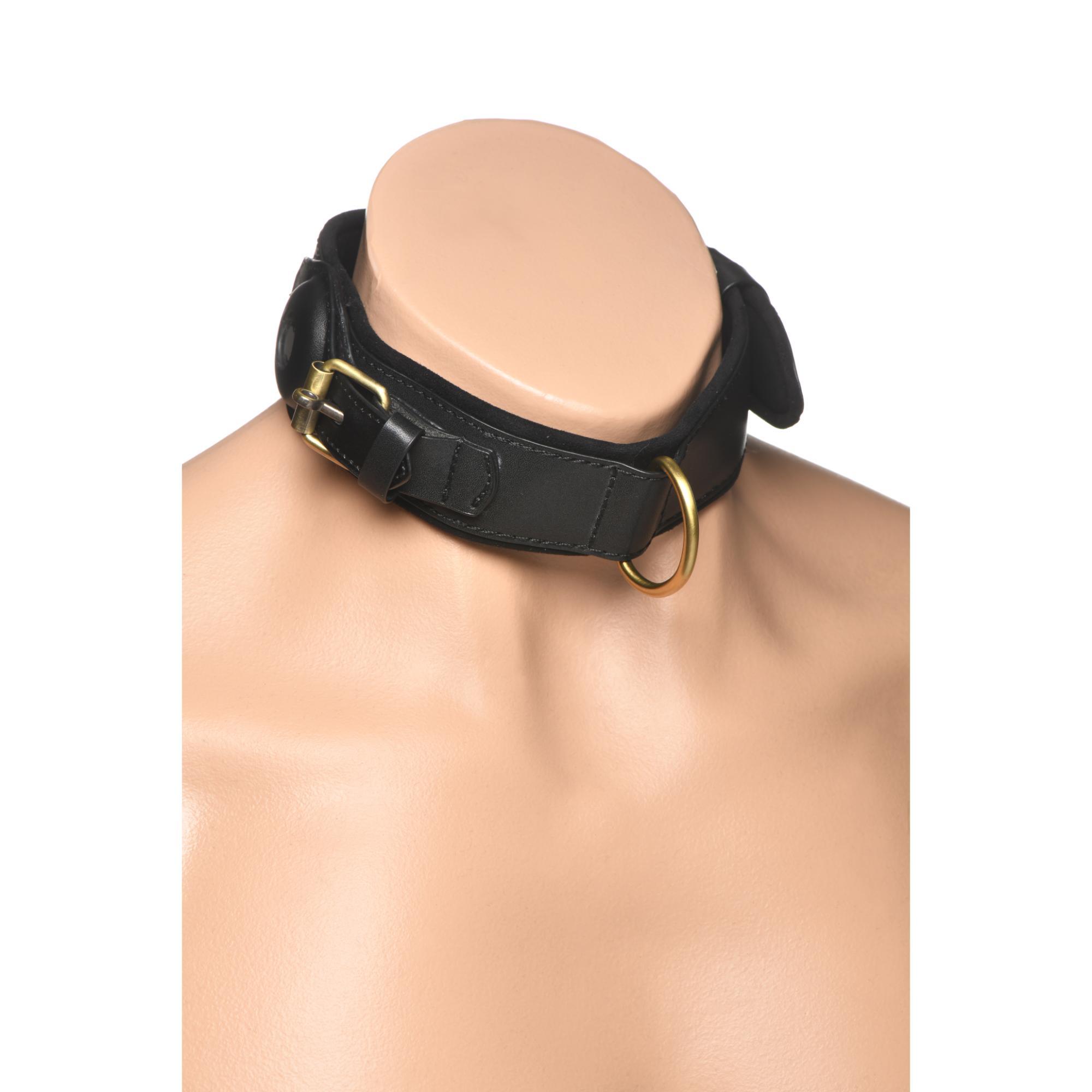 Master Series Tracer Tracking Collar