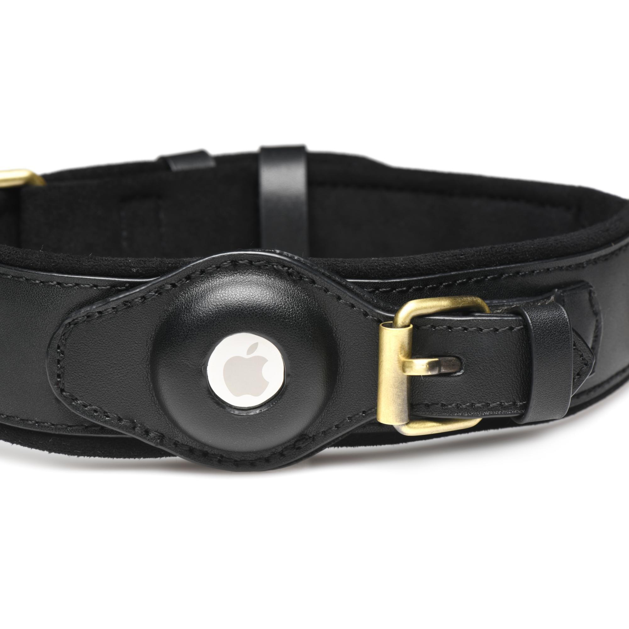 Master Series Tracer Tracking Collar