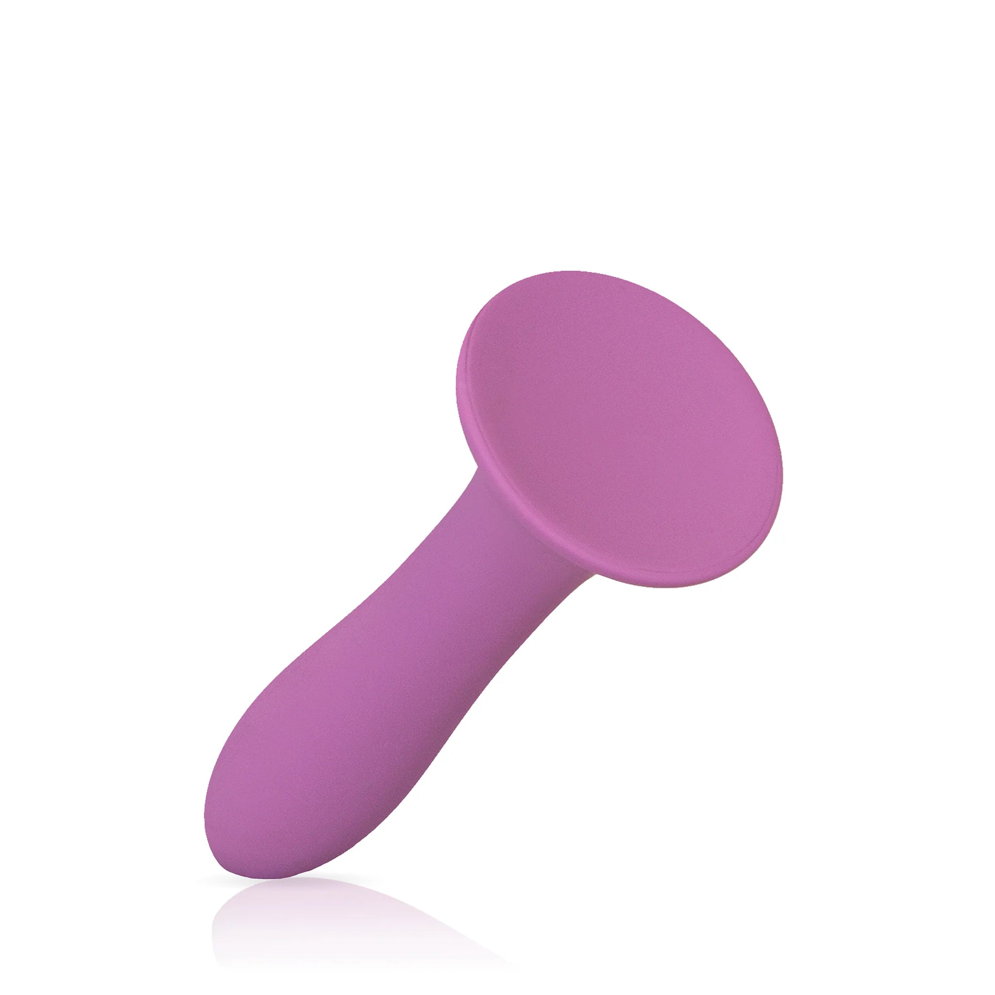 Pipedream JimmyJane Canta Silicone Dildo