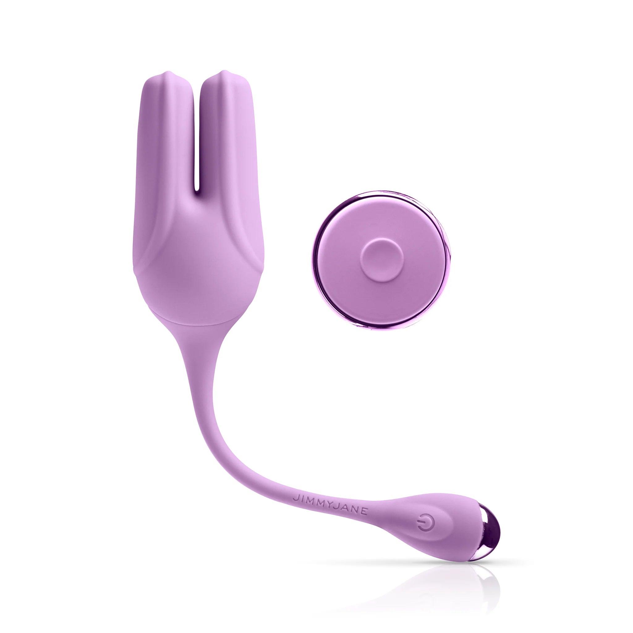 Pipedream JimmyJane Form 2 Kegel Rechargeable Silicone Stimulator with Remote