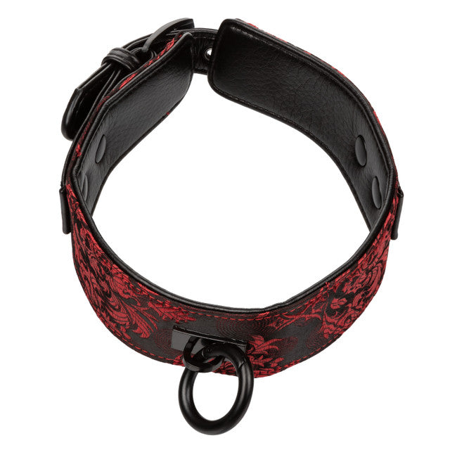 Calexotics Scandal® Collar with Leash