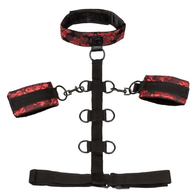 Calexotics Scandal® Collar Body Restraint