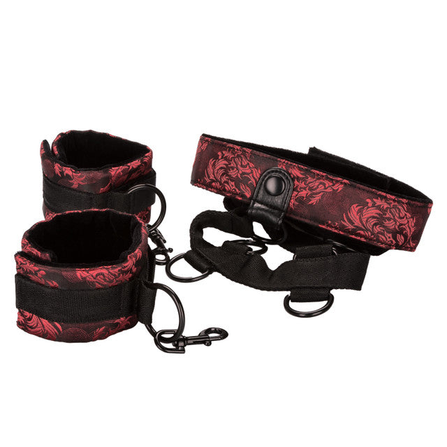 Calexotics Scandal® Collar Body Restraint