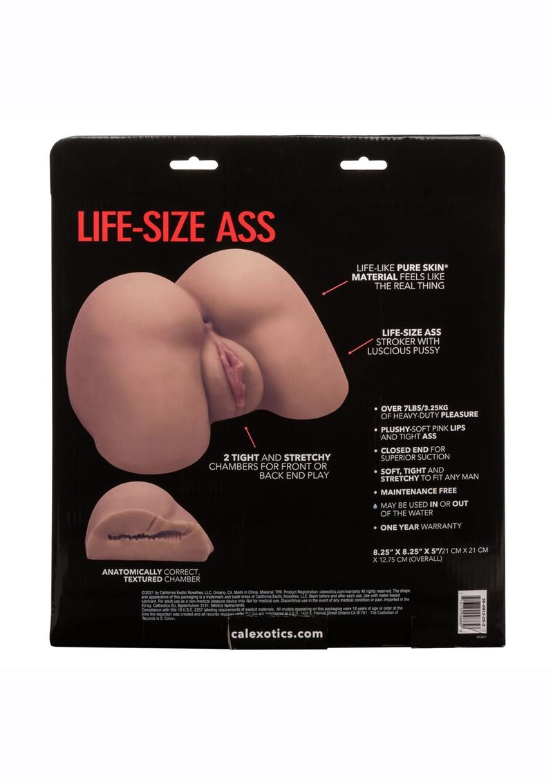 CalExotics Stroke It Life-Size Ass Masturbator - Buy At Luxury Toy X - Free 3-Day Shipping