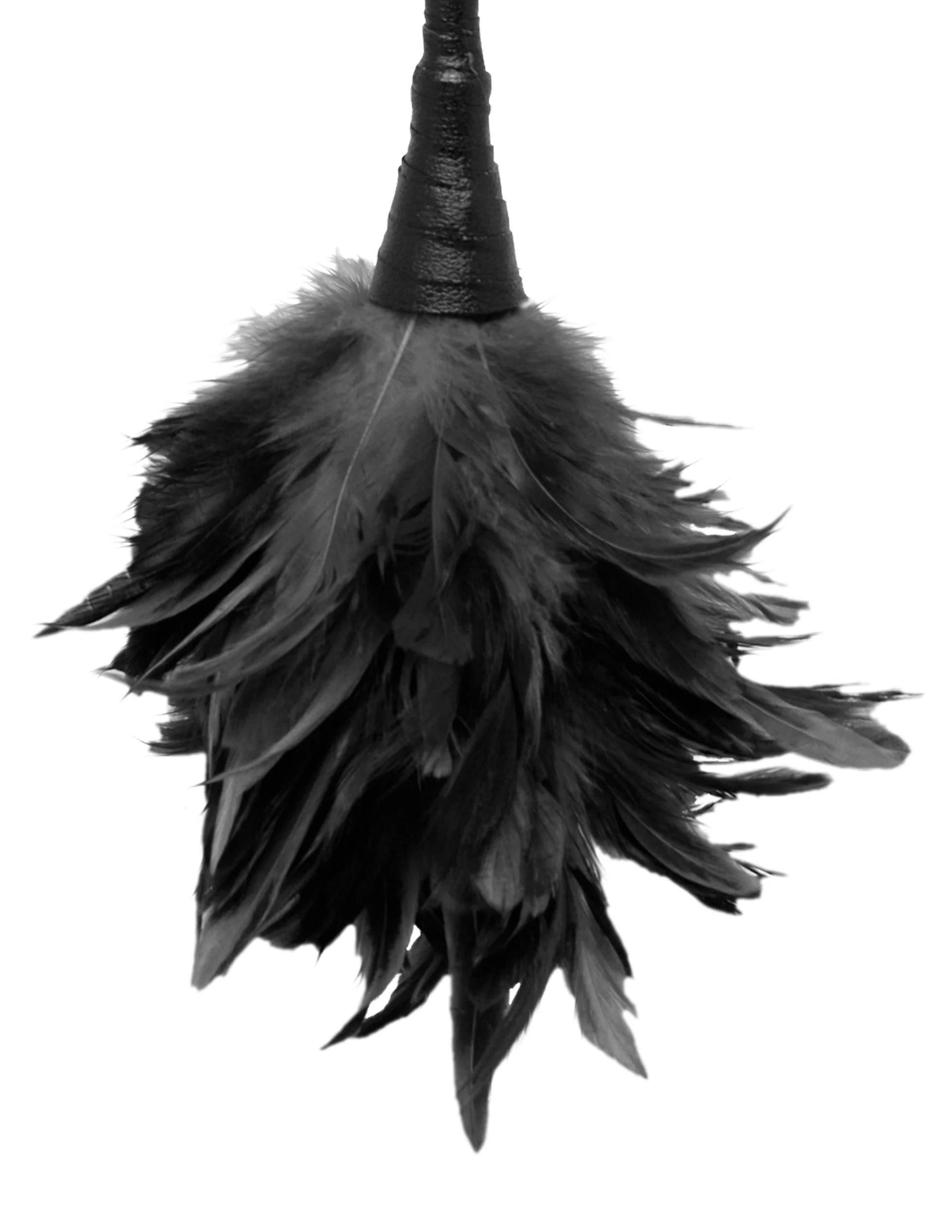 Pipedream Fetish Fantasy Series Frisky Feather Duster - Buy At Luxury Toy X - Free 3-Day Shipping