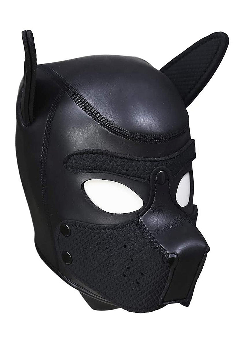 Ouch! Neoprene Puppy Kit