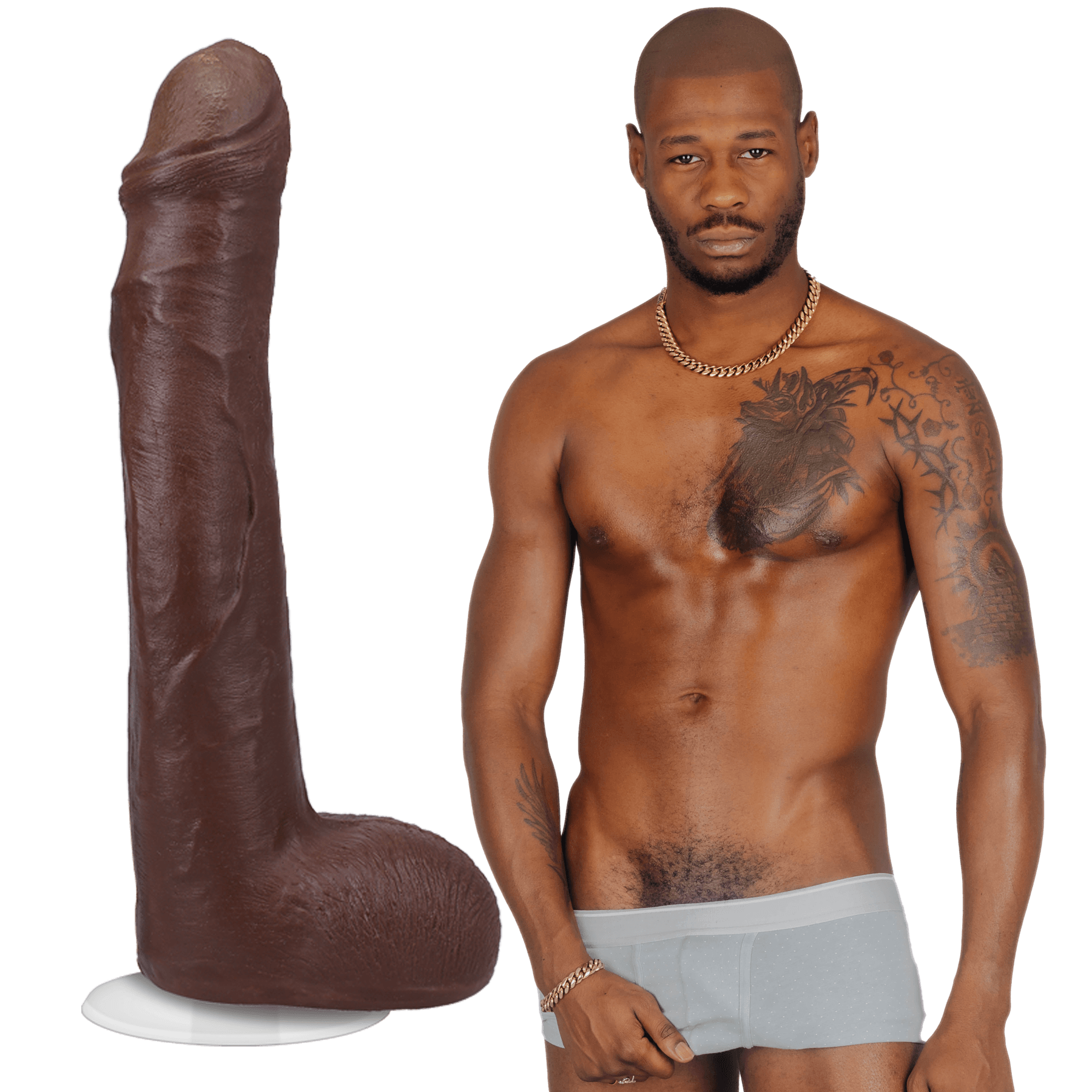 Signature Series Anton Harden 12 in Dildo - Buy At Luxury Toy X - Free 3-Day Shipping